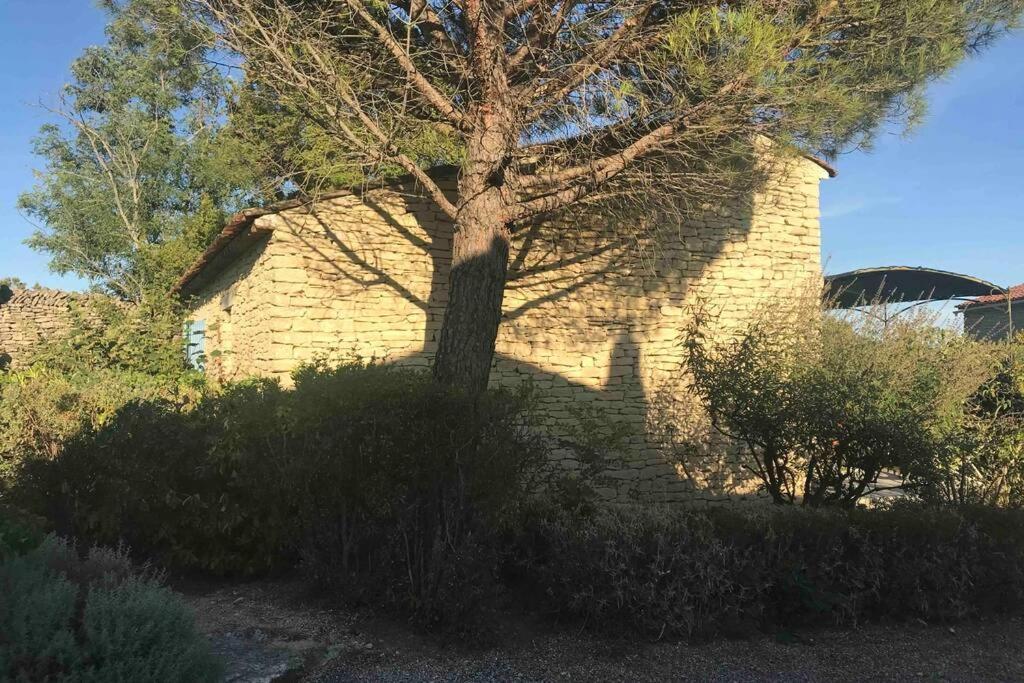 Le Bastidon De L Olivier Villa Gordes Exterior photo