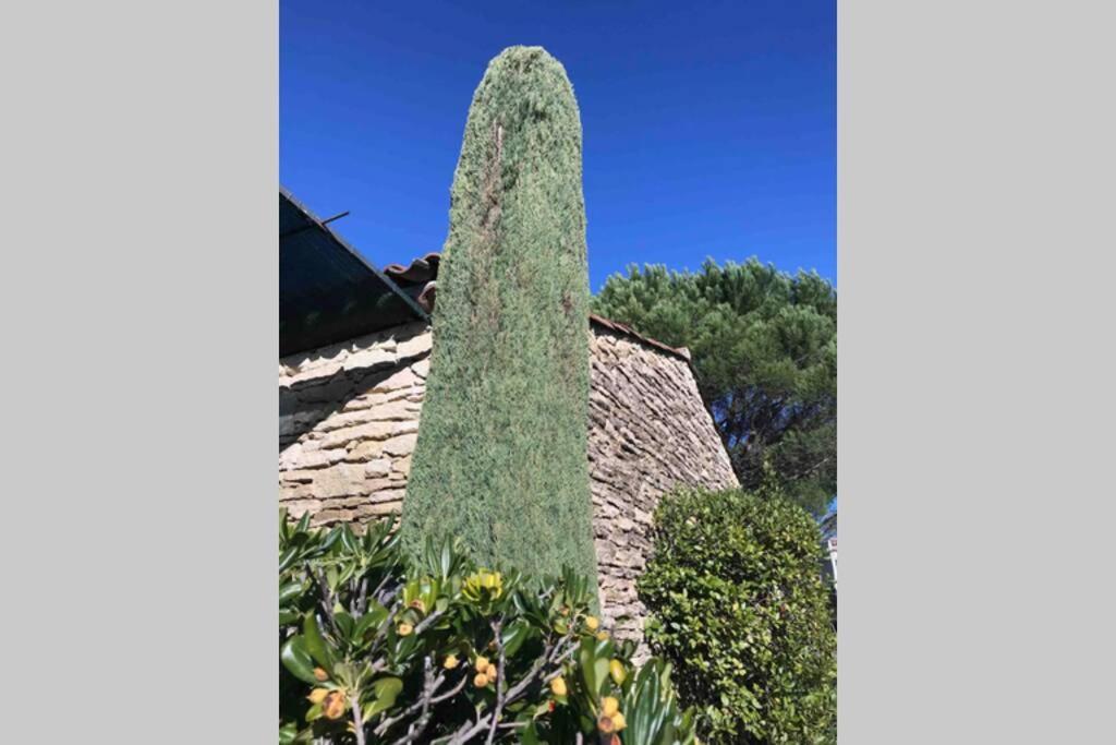 Le Bastidon De L Olivier Villa Gordes Exterior photo